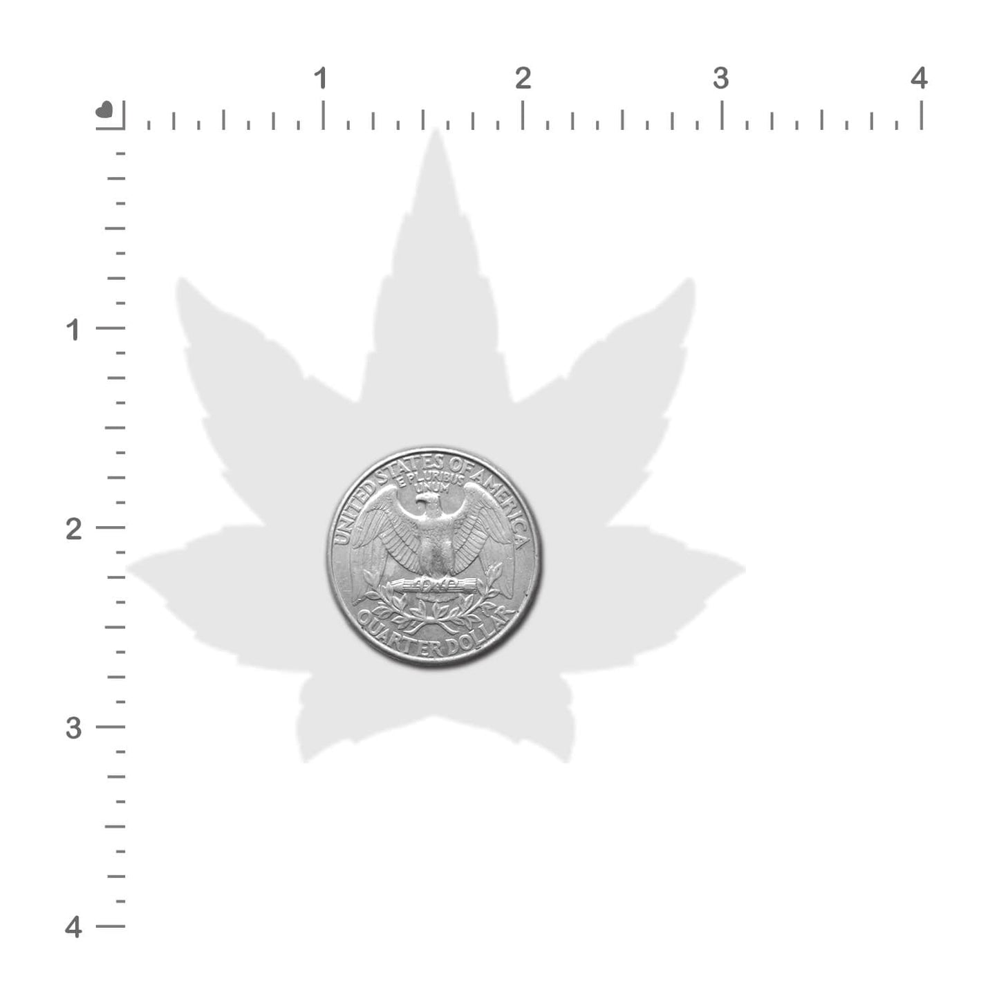 Indica Leaf Pasties — Green Glitter Cannabis | Pastease